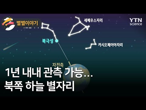[별별이야기] 1년 내내 관측 가능…북쪽 하늘 별자리 / YTN 사이언스