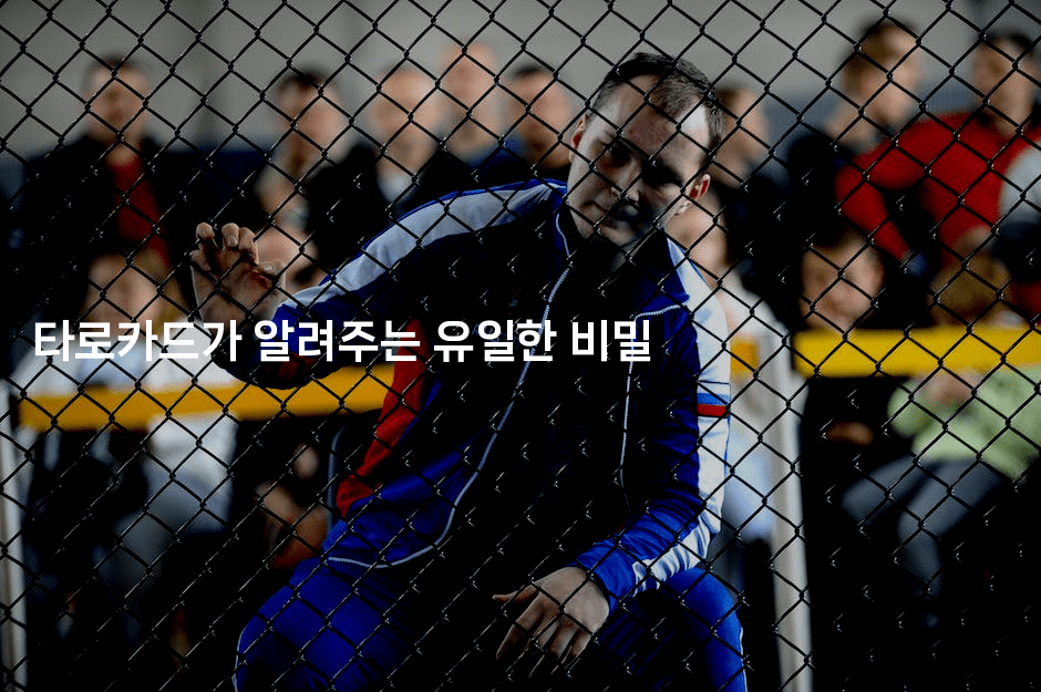 타로카드가 알려주는 유일한 비밀2-블래콜