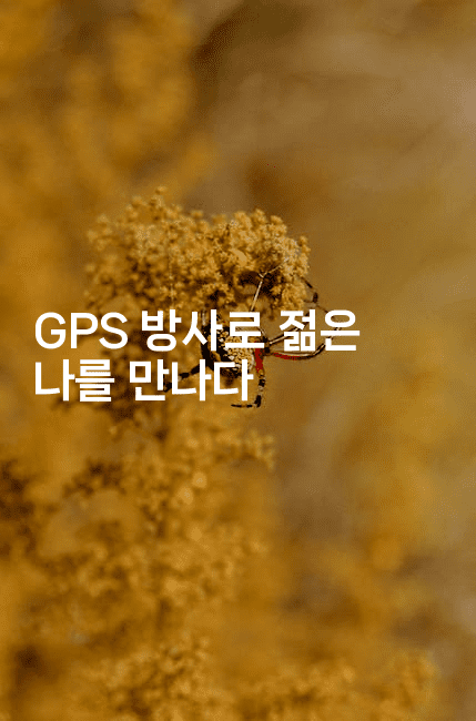 GPS 방사로 젊은 나를 만나다 2-블래콜