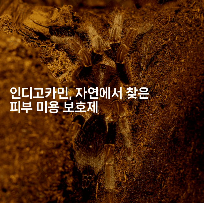 인디고카민, 자연에서 찾은 피부 미용 보호제2-블래콜