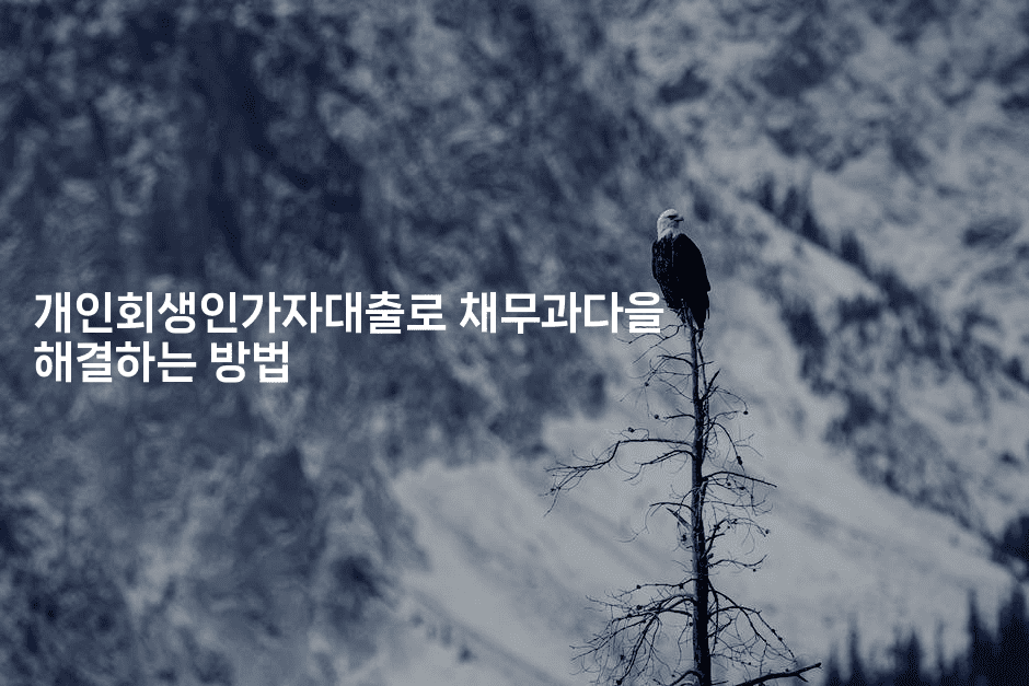 개인회생인가자대출로 채무과다을 해결하는 방법-블래콜