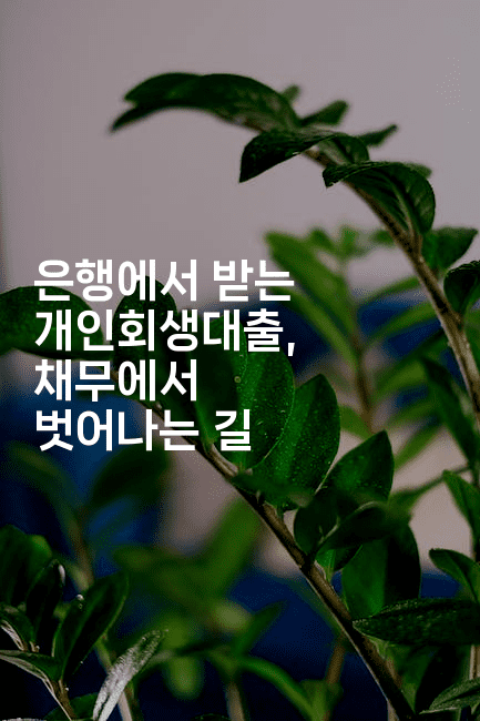 은행에서 받는 개인회생대출, 채무에서 벗어나는 길