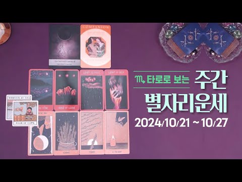 타로 |  24년 10월 넷째주 별자리 운세? (10/21 ~ 10/27)