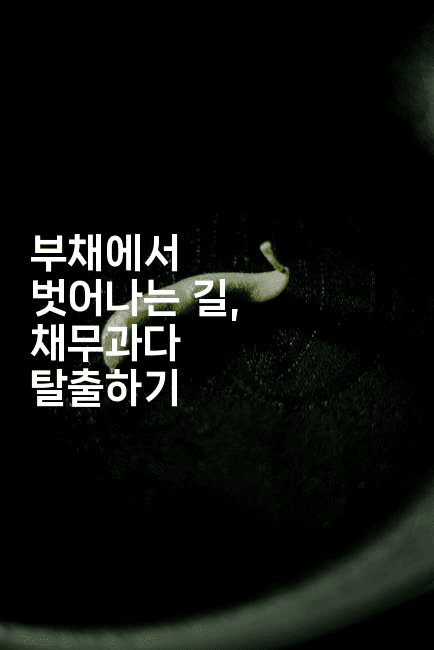 부채에서 벗어나는 길, 채무과다 탈출하기-블래콜