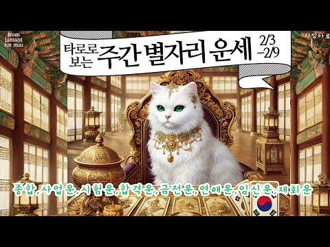 [타로/종합운]타로로 보는 주간 별자리 운세(종합,사업운,시험운,합격운,금전운,연애운,재회운 등)2/3-2/9