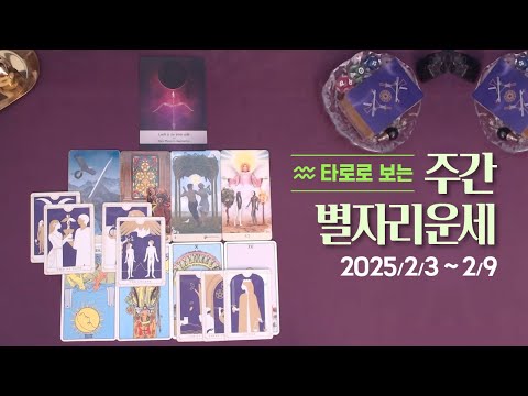 타로 |  25년 2월 첫째주 별자리 운세💫 (2/3~2/9)