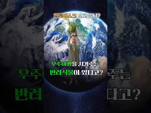 우주여행을 시켜주는 식물? #일론머스크 #이벤트