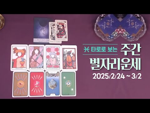 타로 |  25년 2월 넷째주 별자리 운세💫 (2/24~3/2)