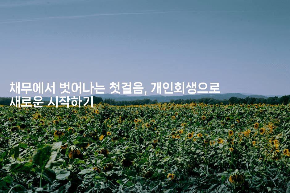 채무에서 벗어나는 첫걸음, 개인회생으로 새로운 시작하기-블래콜